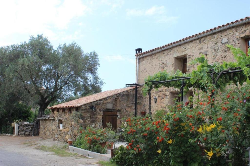 Auberge Pietra Monetta